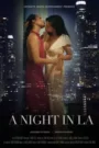 Night in LA (2019) Hindi Short Film