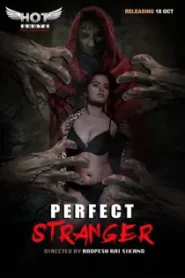 Perfect Stranger (2019) Hindi Short Film