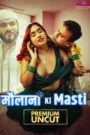 Maulana Ki Masti (2025) Hindi Web Series